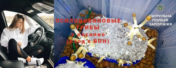 герыч Няндома