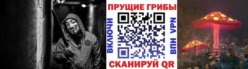купить закладку  ОМГ ОМГ ссылки  Псилоцибиновые грибы GOLDEN TEACHER  Полтавская 