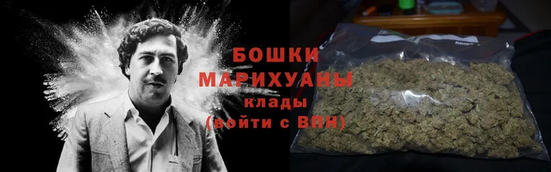 Бошки марихуана Amnesia  сайты даркнета формула  Полтавская 